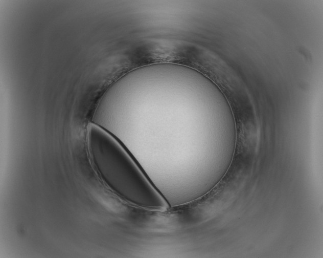 X0000111350601200907171144