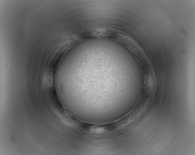 X0000111350602200907171144