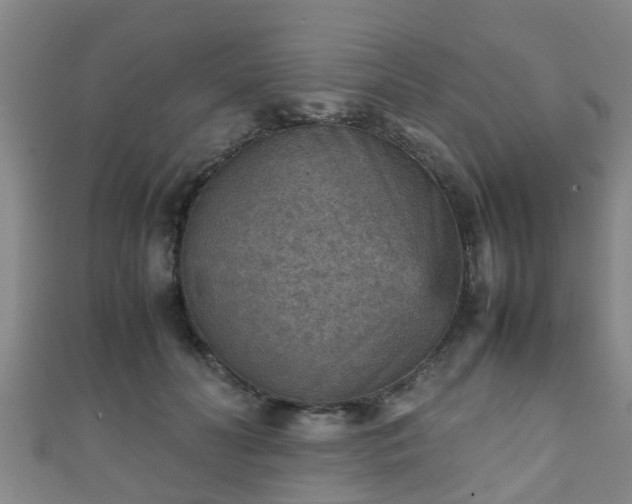 X0000111350606200907171144