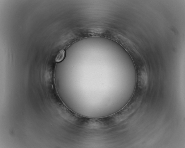 X0000111350608200907171144