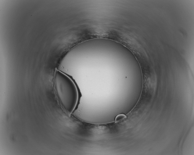 X0000111350609200907171144