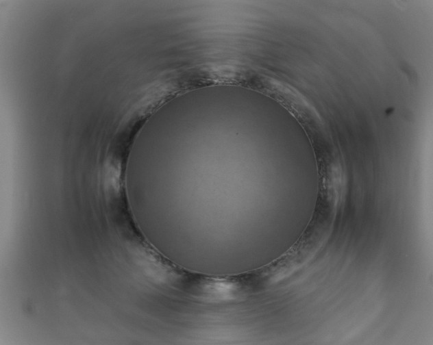 X0000111350610200907171144