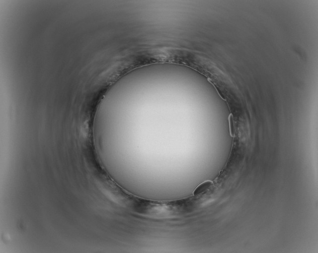 X0000111350611200907171144