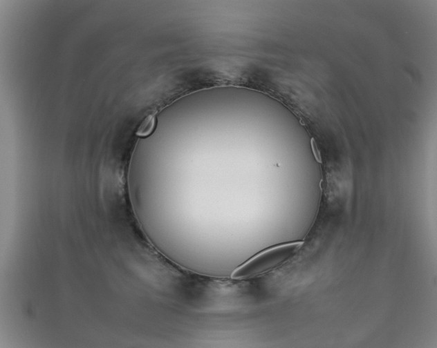 X0000111350613200907171144