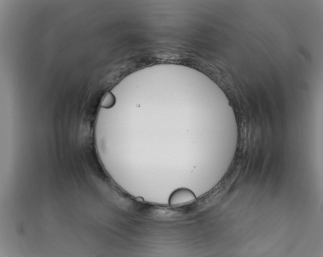 X0000111350614200907171144