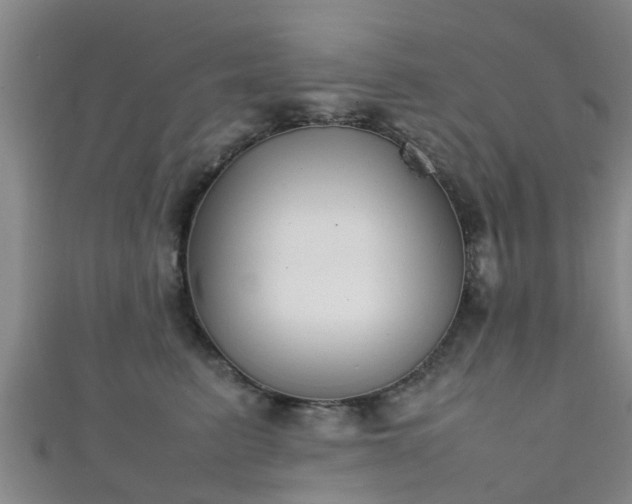 X0000111350615200907171144