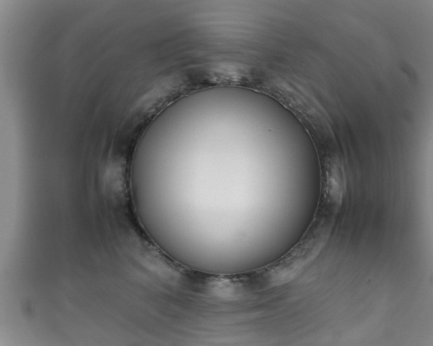 X0000111350616200907171144