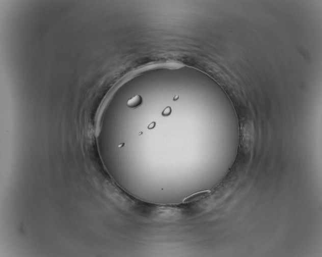 X0000111350617200907171144