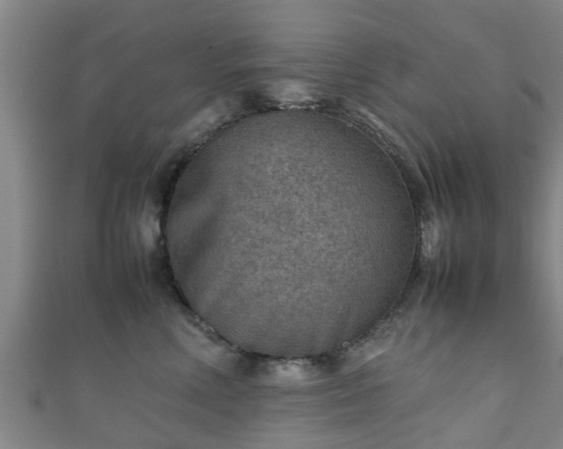 X0000111350618200907171144