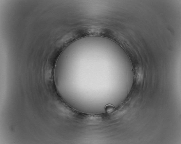 X0000111350619200907171144