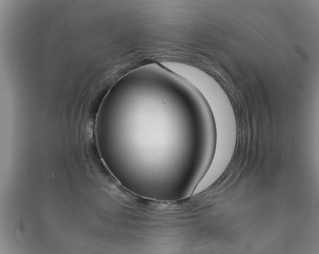 X0000111350621200907171144