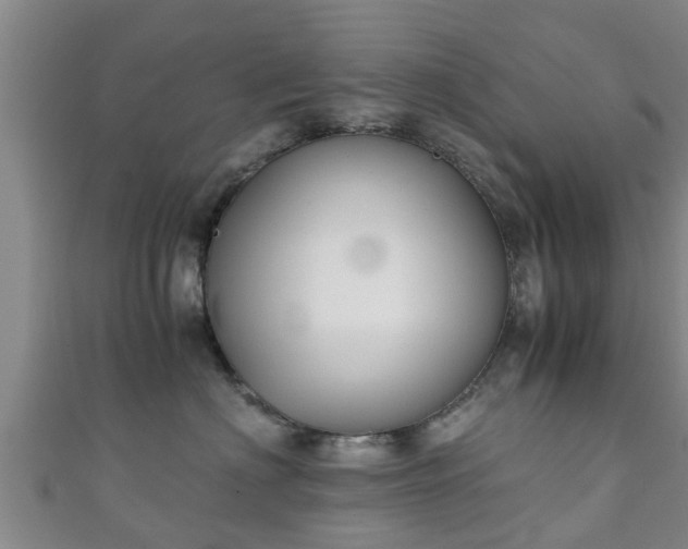 X0000111350622200907171144