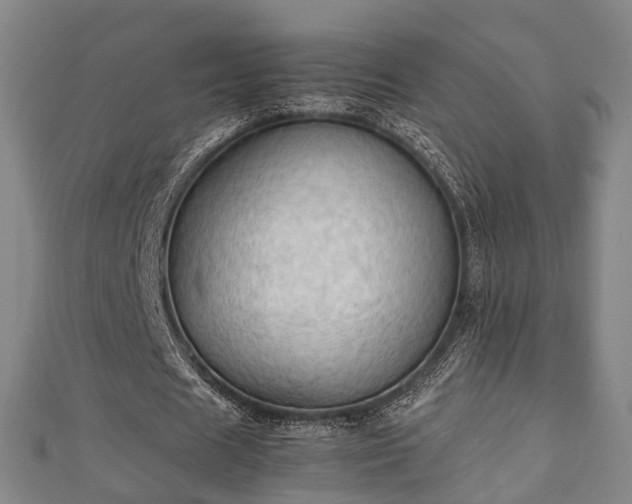 X0000111350625200907171143