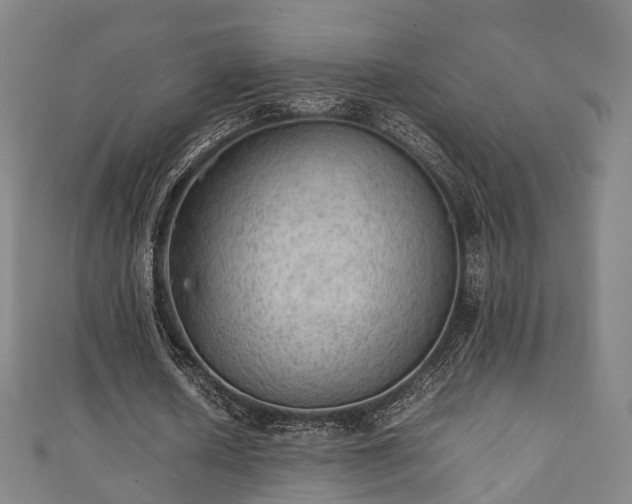 X0000111350626200907171143