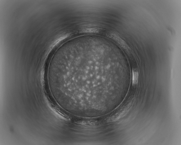 X0000111350627200907171143