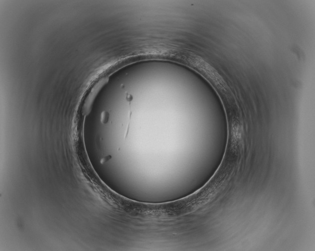 X0000111350628200907171143