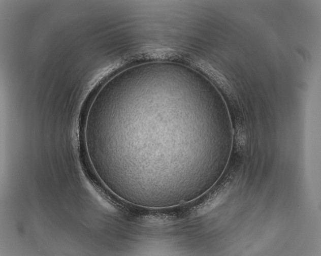 X0000111350630200907171144