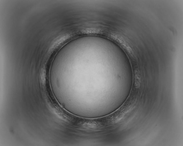 X0000111350631200907171144