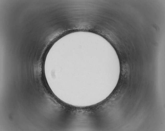 X0000111350632200907171144