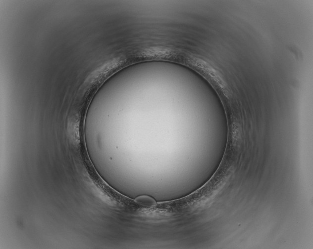 X0000111350633200907171144