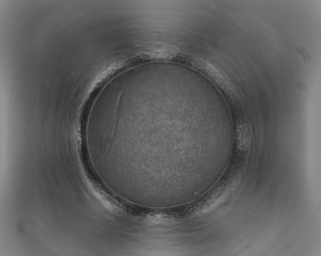 X0000111350634200907171144