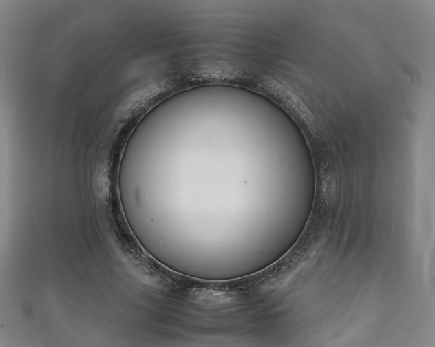 X0000111350635200907171144