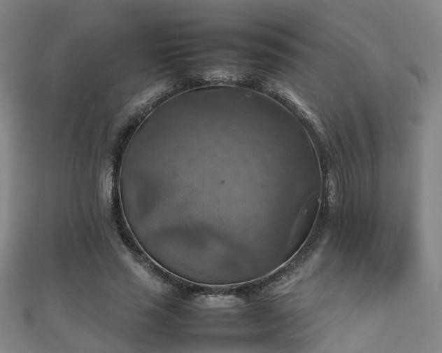 X0000111350637200907171144