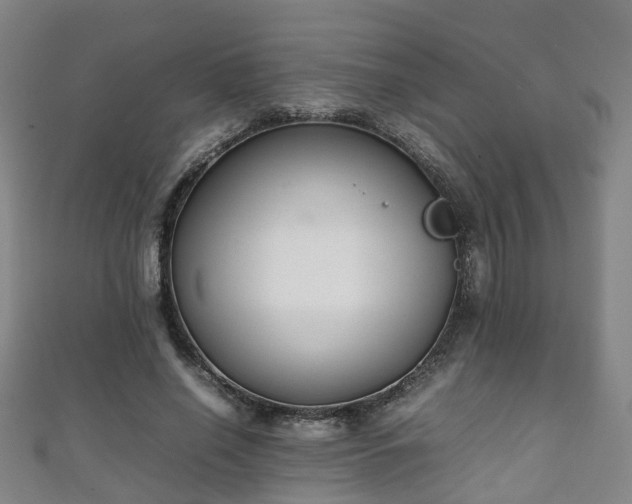 X0000111350638200907171144