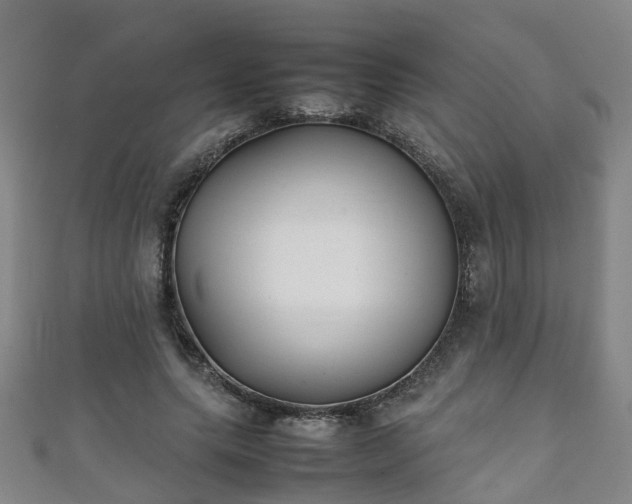 X0000111350639200907171144