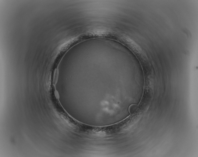 X0000111350640200907171144