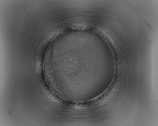 X0000111350641200907171144