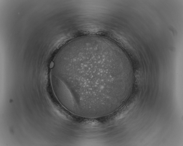 X0000111350642200907171144