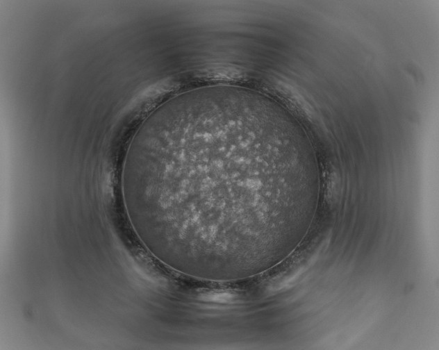 X0000111350643200907171144