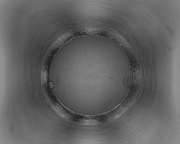 X0000111350644200907171144