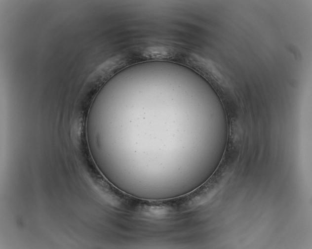 X0000111350645200907171144