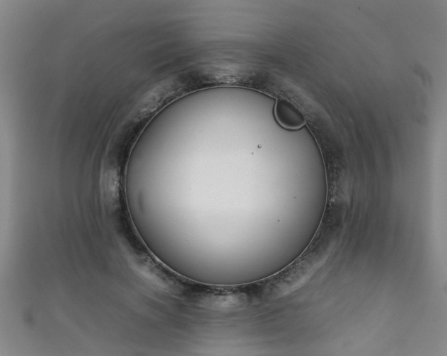 X0000111350646200907171144