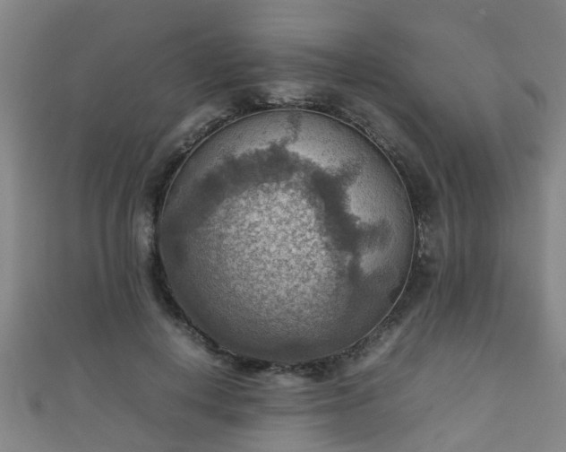 X0000111350648200907171144