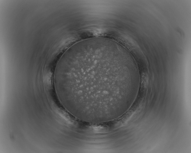 X0000111350650200907171144