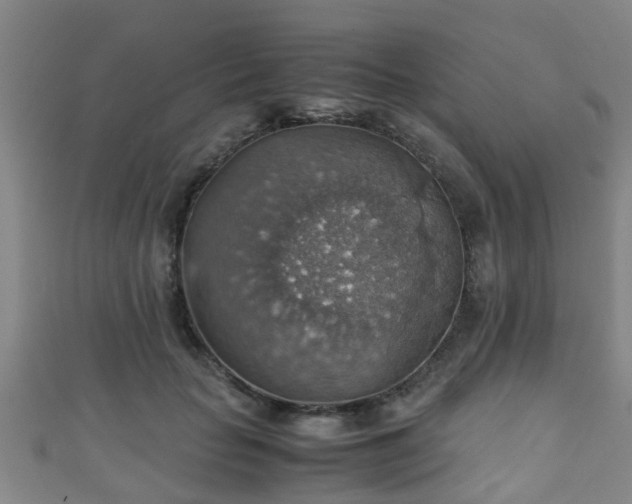 X0000111350653200907171144