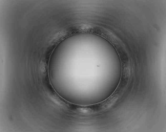 X0000111350654200907171144