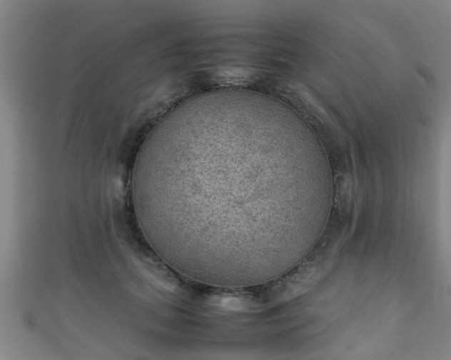 X0000111350655200907171144