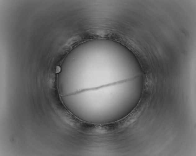 X0000111350656200907171144