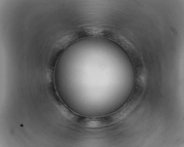 X0000111350658200907171144