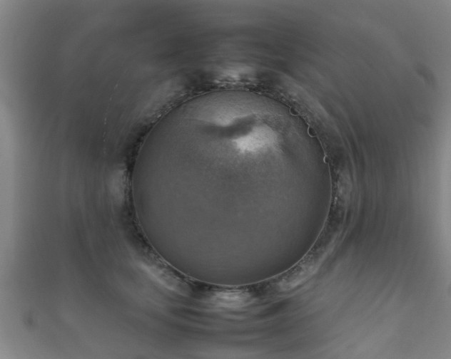 X0000111350659200907171144