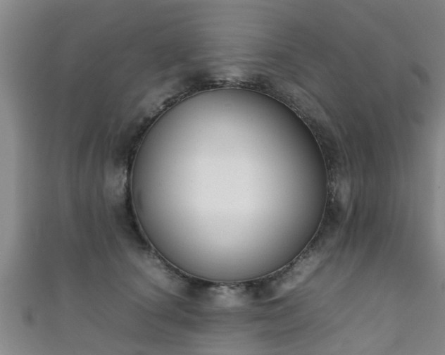 X0000111350660200907171144