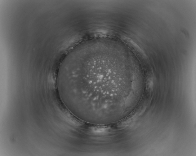 X0000111350661200907171144