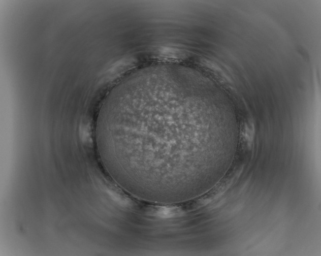 X0000111350663200907171144