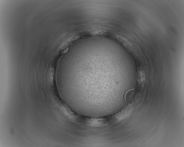 X0000111350664200907171144