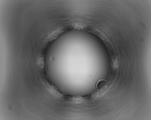 X0000111350666200907171144