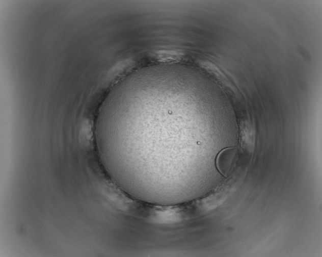 X0000111350667200907171144